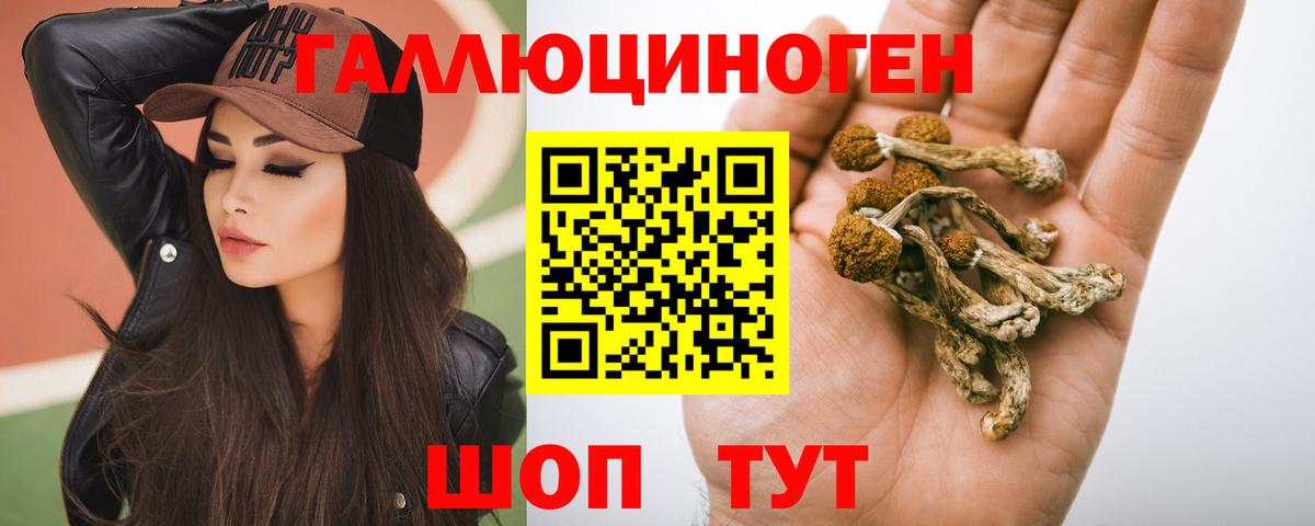 Сафоново  Псилоцибиновые грибы Psilocybine cubensis  Вход с VPN 